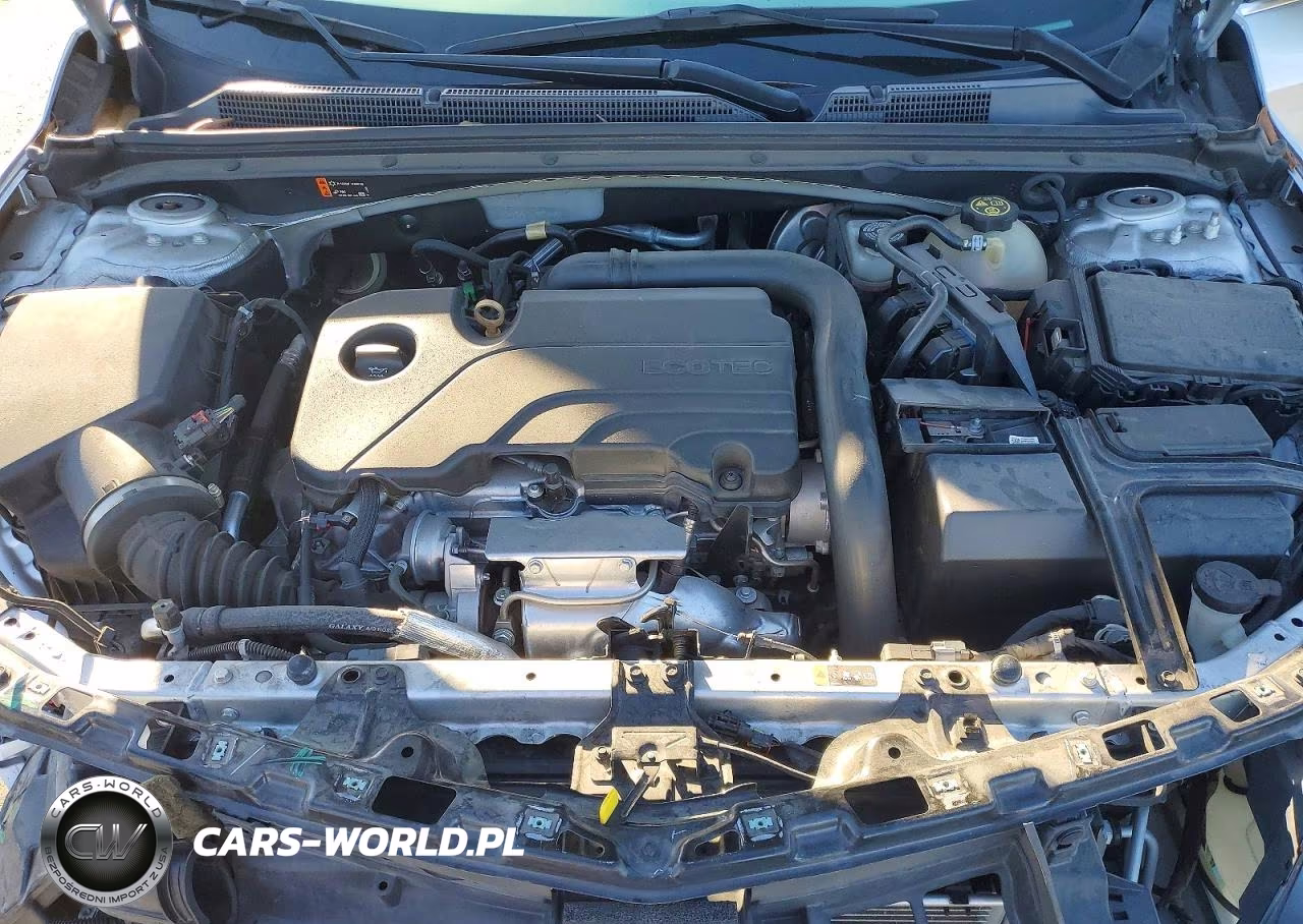 2019 Chevrolet Malibu Lt VIN:1G1ZD5ST5KF138433 - 11