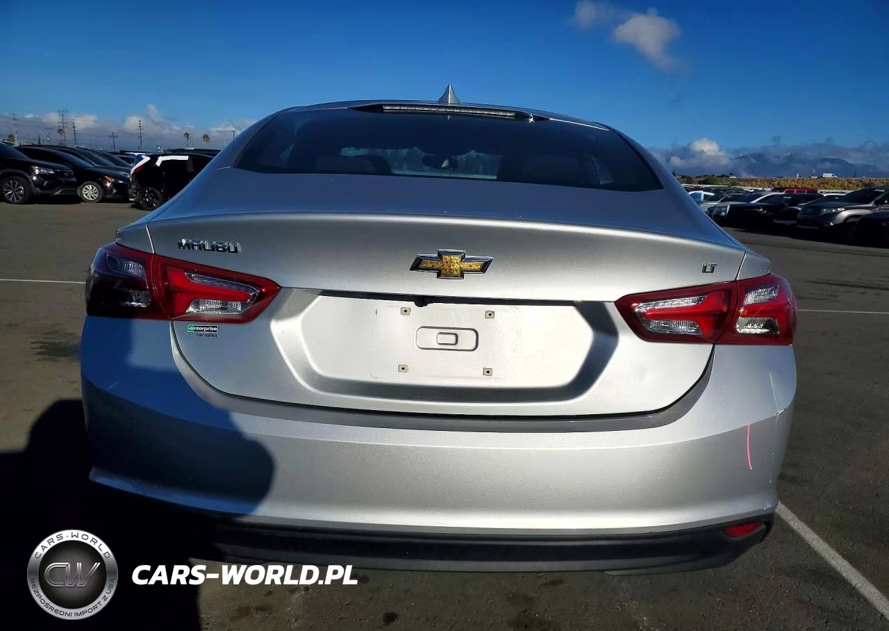 2019 Chevrolet Malibu Lt VIN:1G1ZD5ST5KF138433 - 6