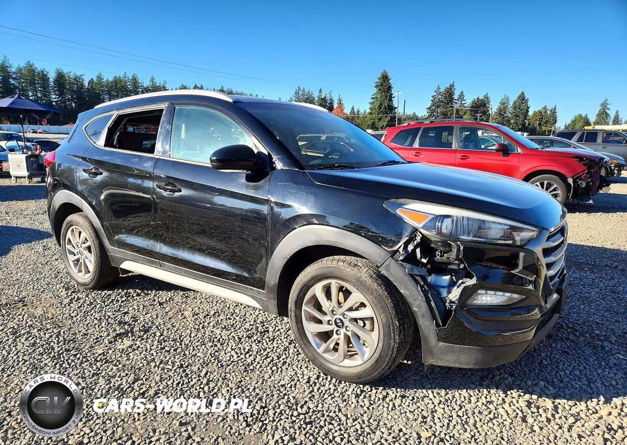 2017 Hyundai Tucson Se VIN:KM8J33A4XHU446655 - 4