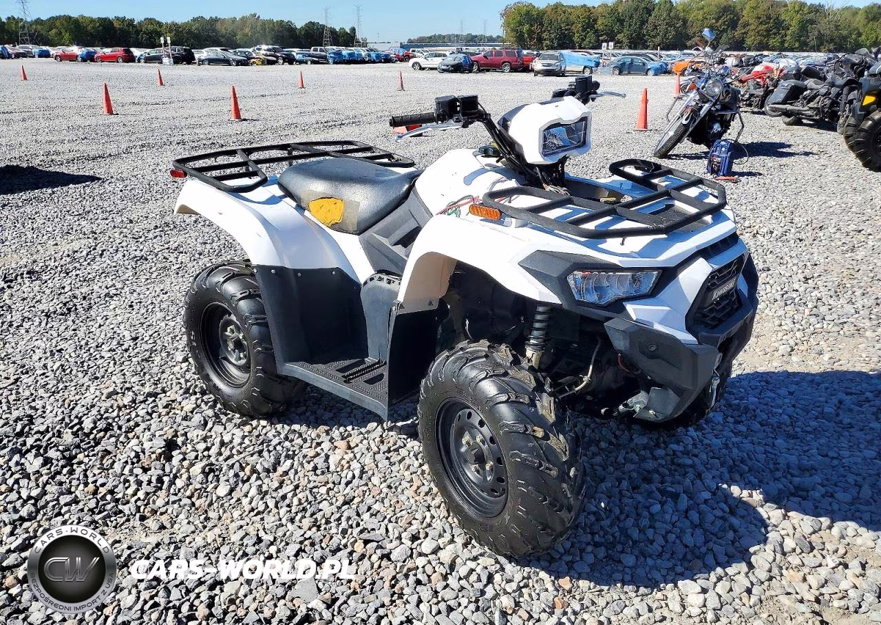 2025 Kawasaki Kvf450 A – zdjęcie 1 z 10