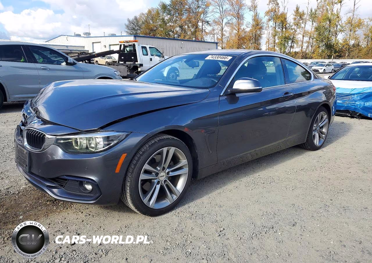 2018 BMW 430Xi VIN:WBA4W5C53JAA66929 - 1