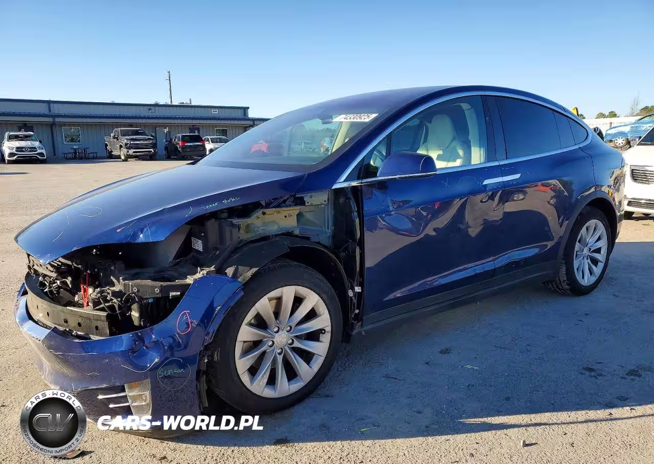 2019 Tesla Model X