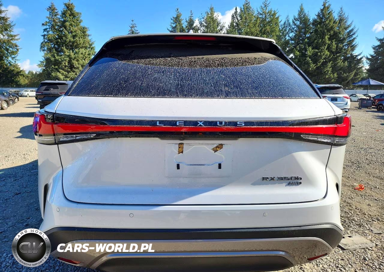 2023 Lexus Rx 350H Premium VIN:2T2BBMCA9PC007636 - 6