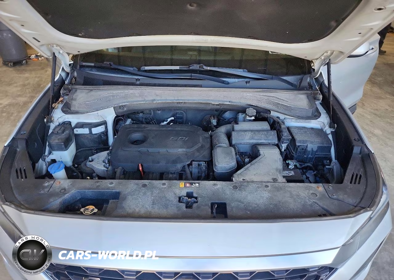 2019 Hyundai Santa Fe Se VIN:5NMS2CAD6KH095785 - 12