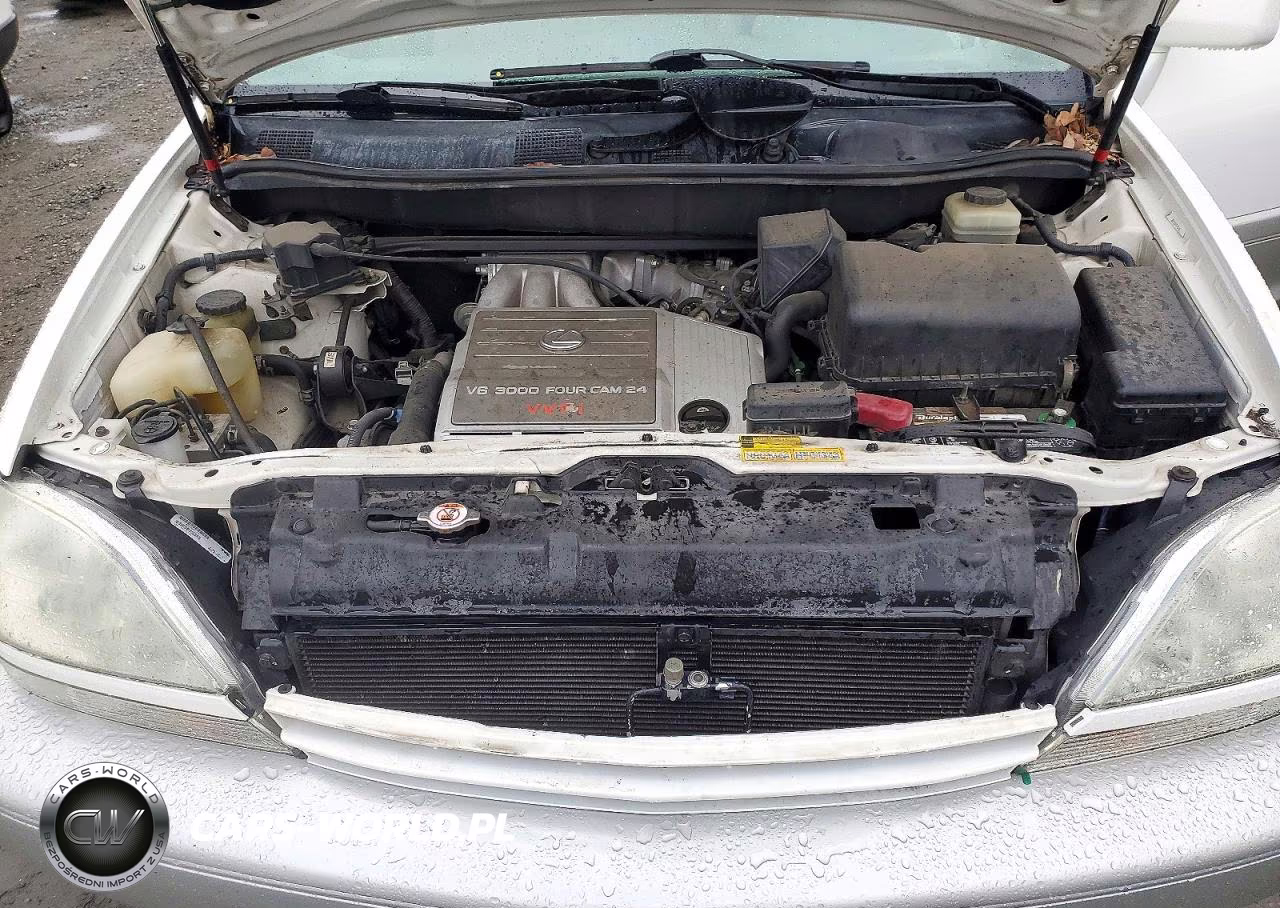 2001 Lexus Rx 300 VIN:JTJHF10U410222100 - 12