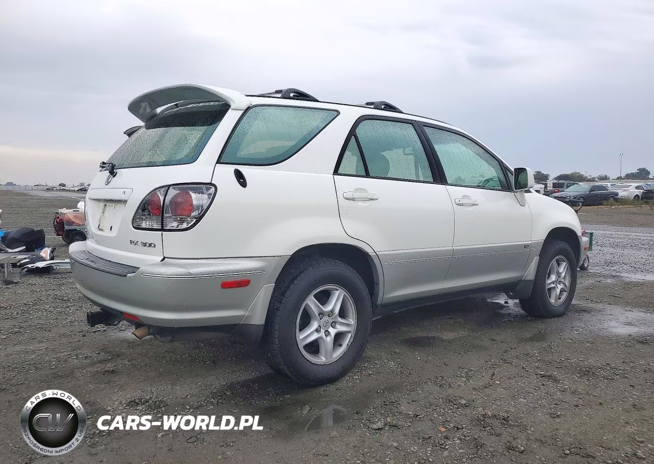 2001 Lexus Rx 300 VIN:JTJHF10U410222100 - 3