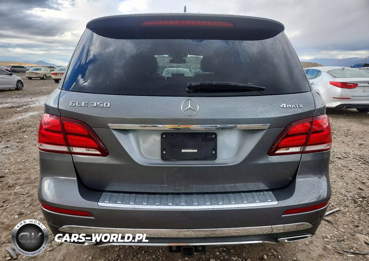 2017 Mercedes-Benz Gle 350 4Matic VIN:4JGDA5HB0HA925221 - 6