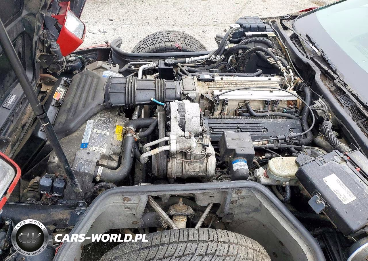 1992 Chevrolet Corvette VIN:1G1YY23P9N5108331 - 11