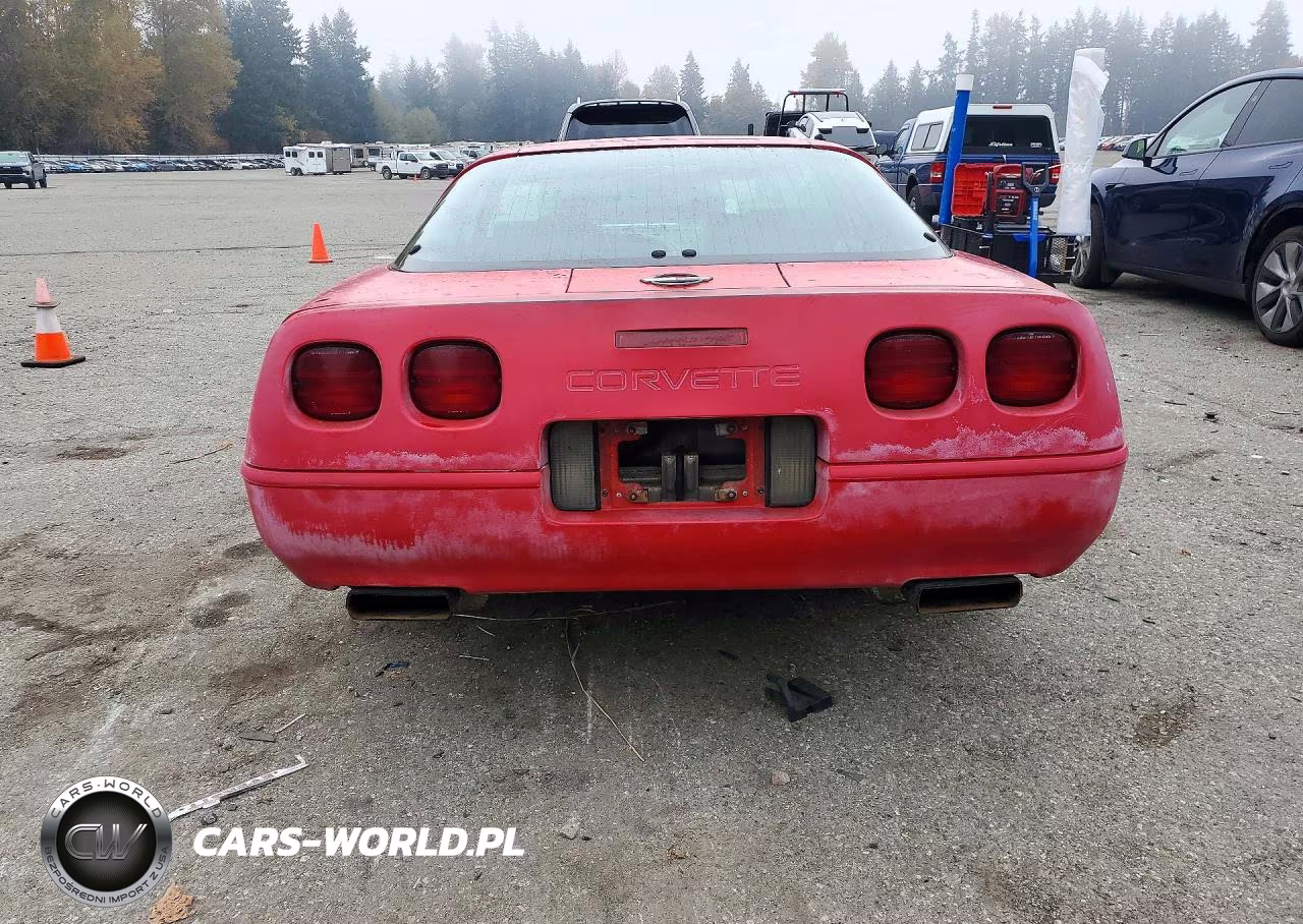 1992 Chevrolet Corvette VIN:1G1YY23P9N5108331 - 6