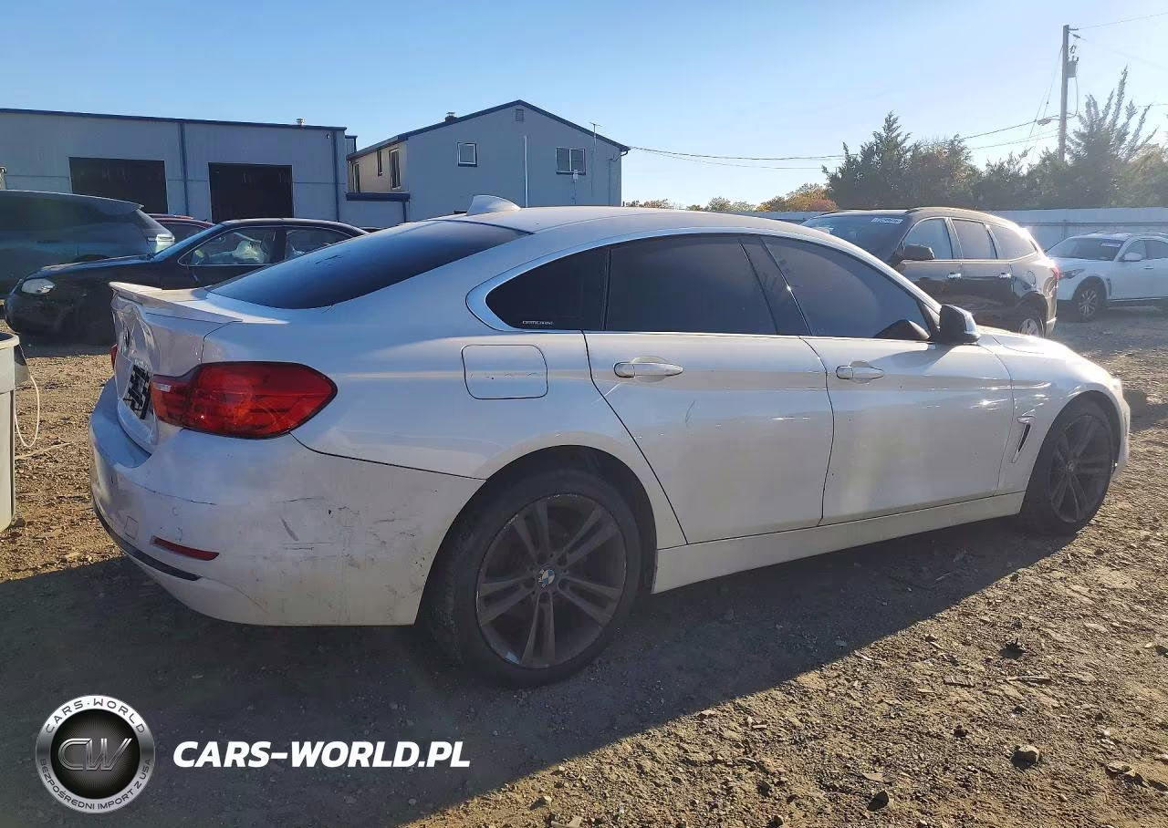 2017 BMW 430Xi Gran Coupe VIN:WBA4F9C55HG440517 - 3