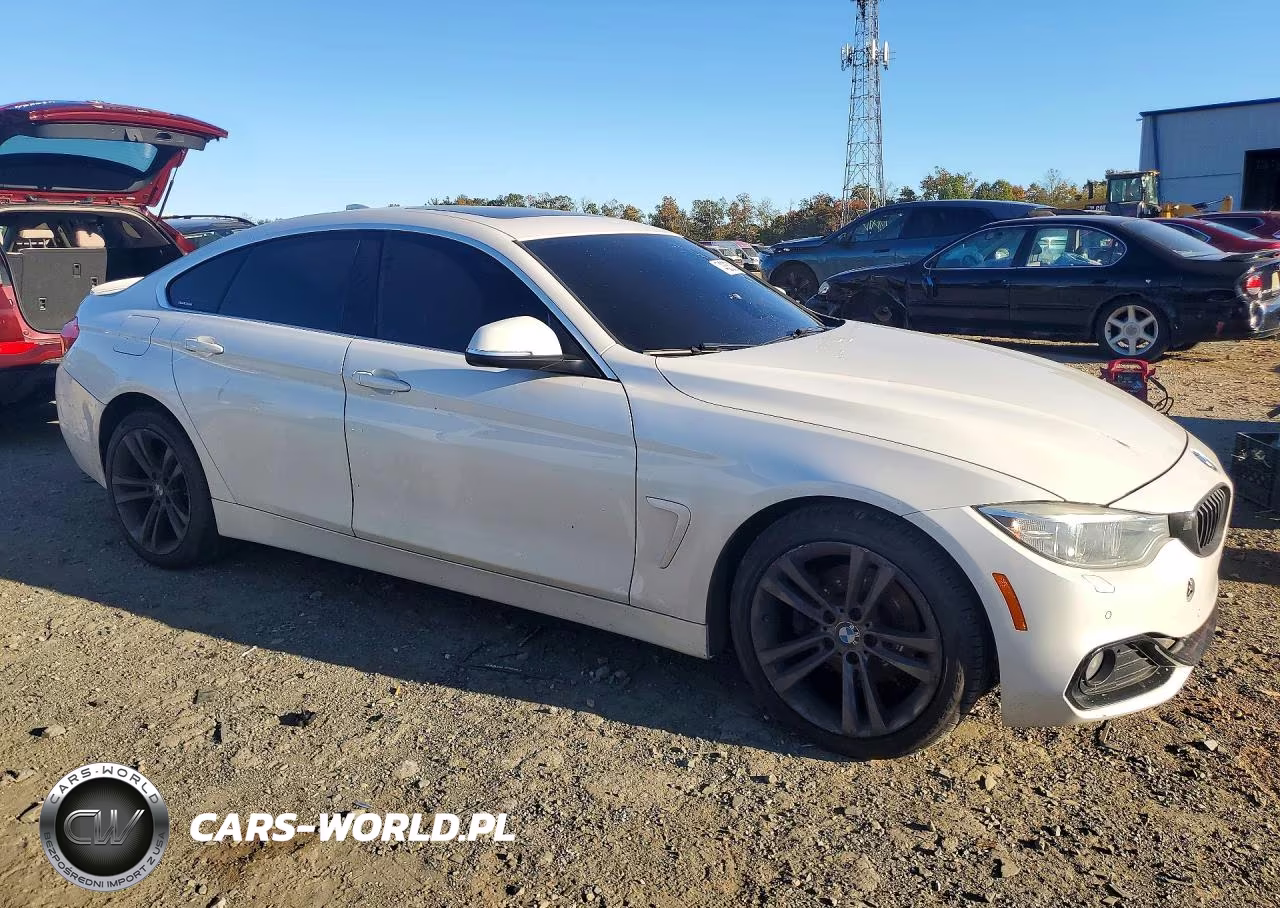 2017 BMW 430Xi Gran Coupe VIN:WBA4F9C55HG440517 - 4