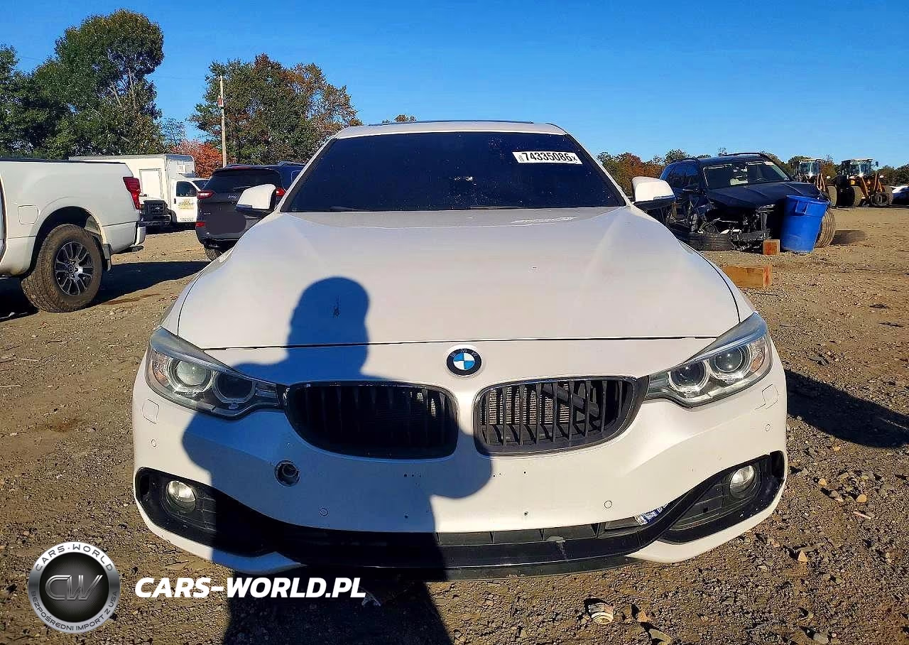 2017 BMW 430Xi Gran Coupe VIN:WBA4F9C55HG440517 - 5