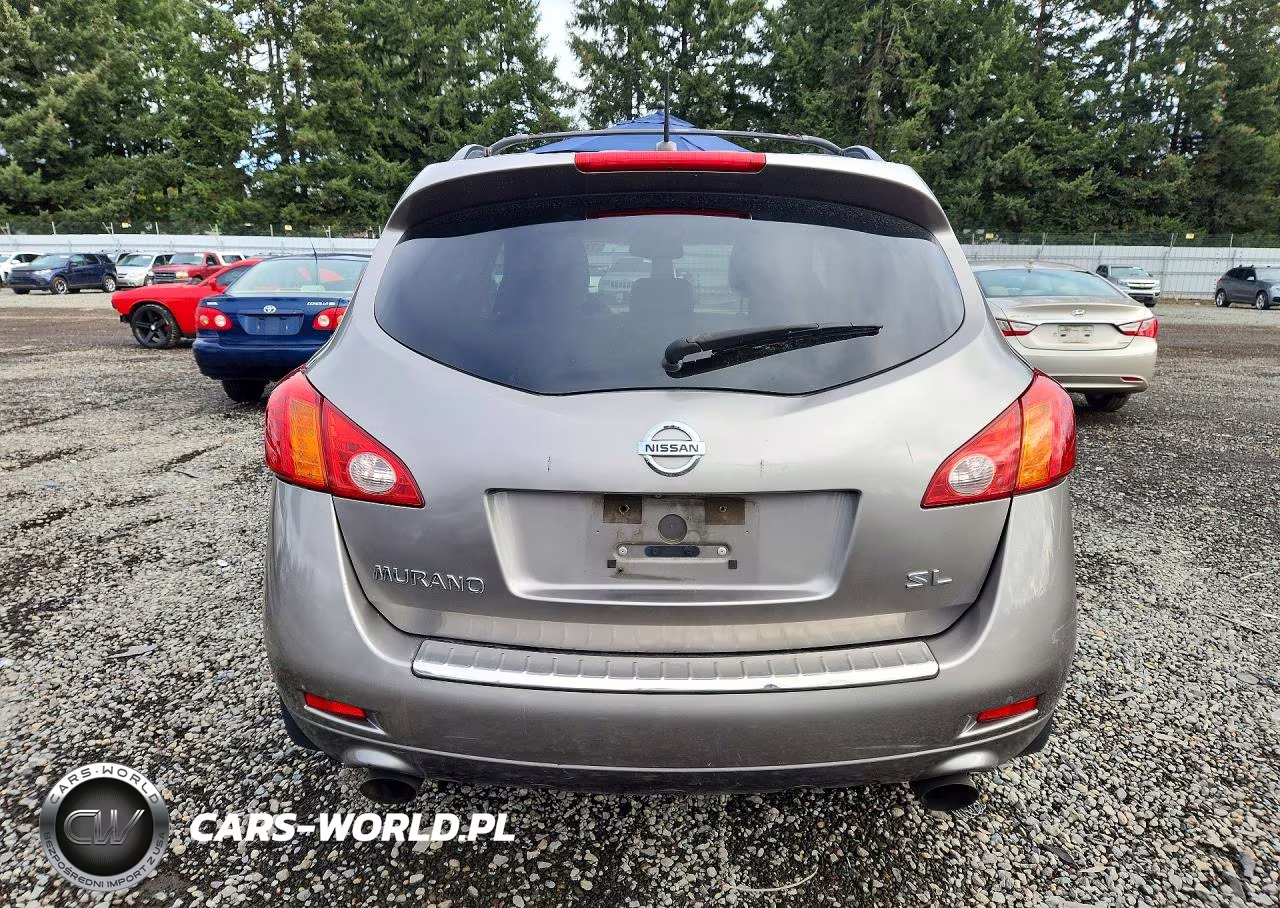 2009 Nissan Murano S VIN:JN8AZ18U39W027909 - 6