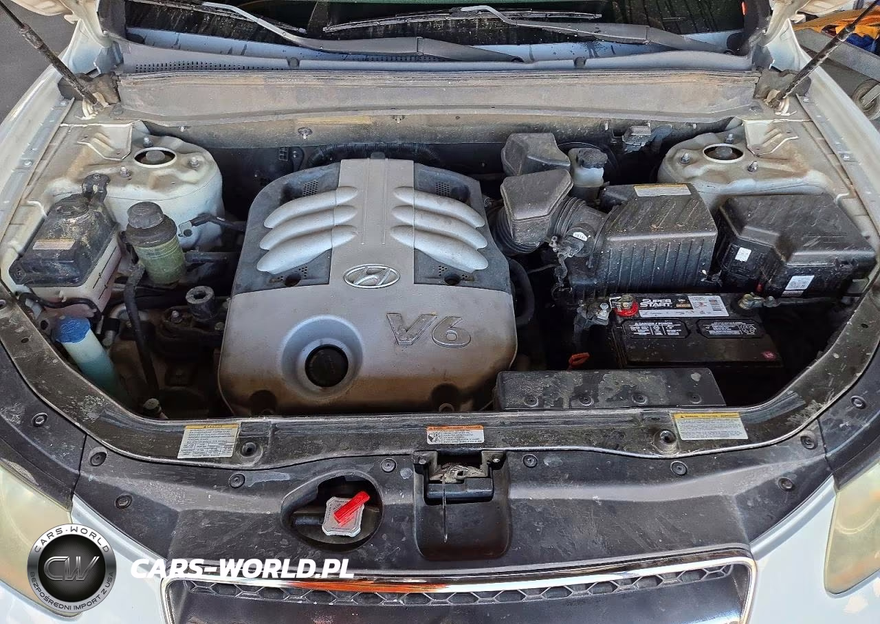 2007 Hyundai Santa Fe Se VIN:5NMSH13E57H002383 - 12
