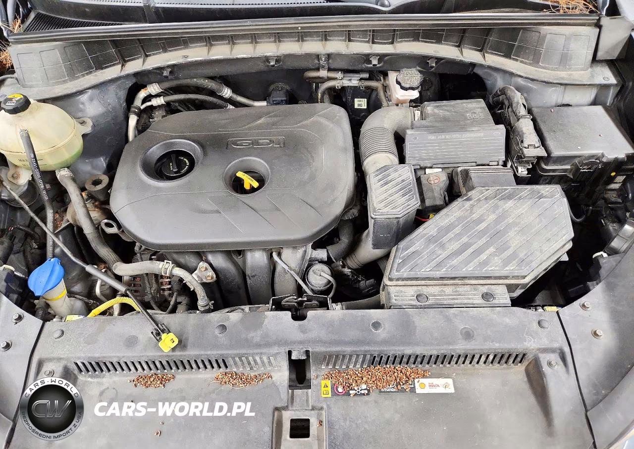 2017 Hyundai Tucson Se VIN:KM8J3CA48HU381529 - 11