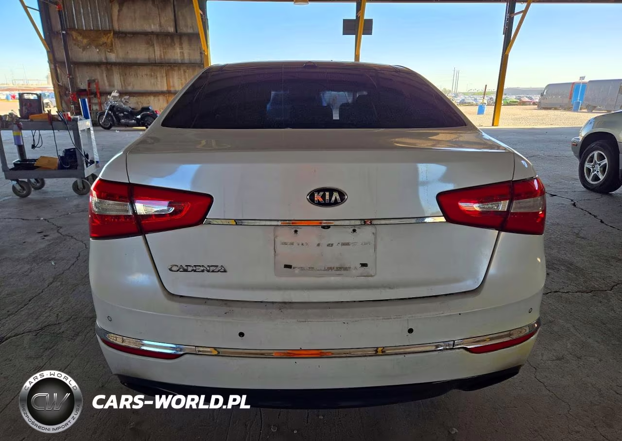 2014 Kia Cadenza Premium VIN:KNALN4D76E5137139 - 6