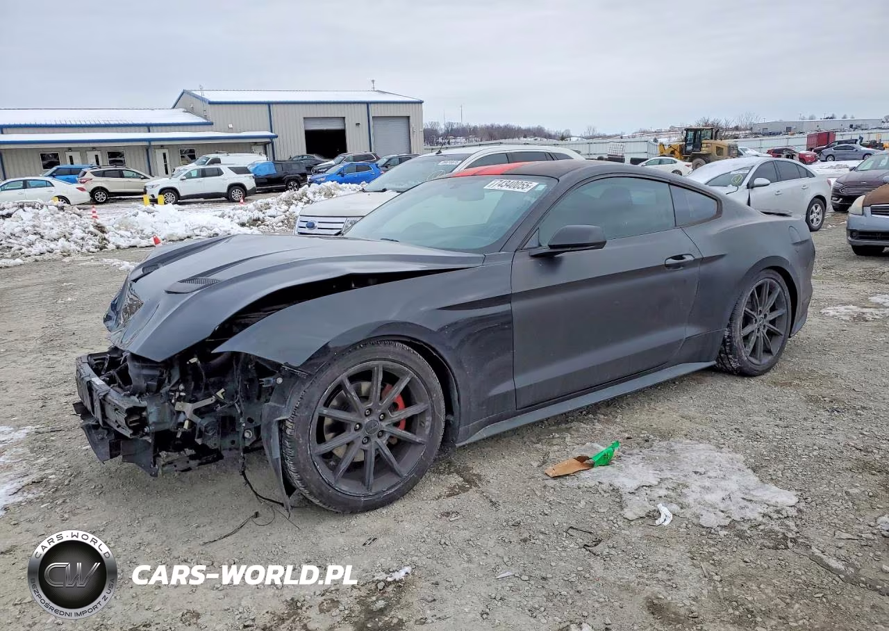 2019 Ford Mustang