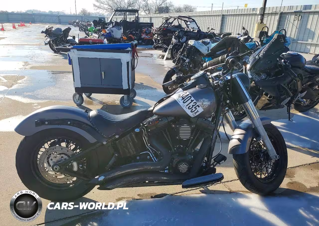 2014 Harley-Davidson Fls Softail Slim