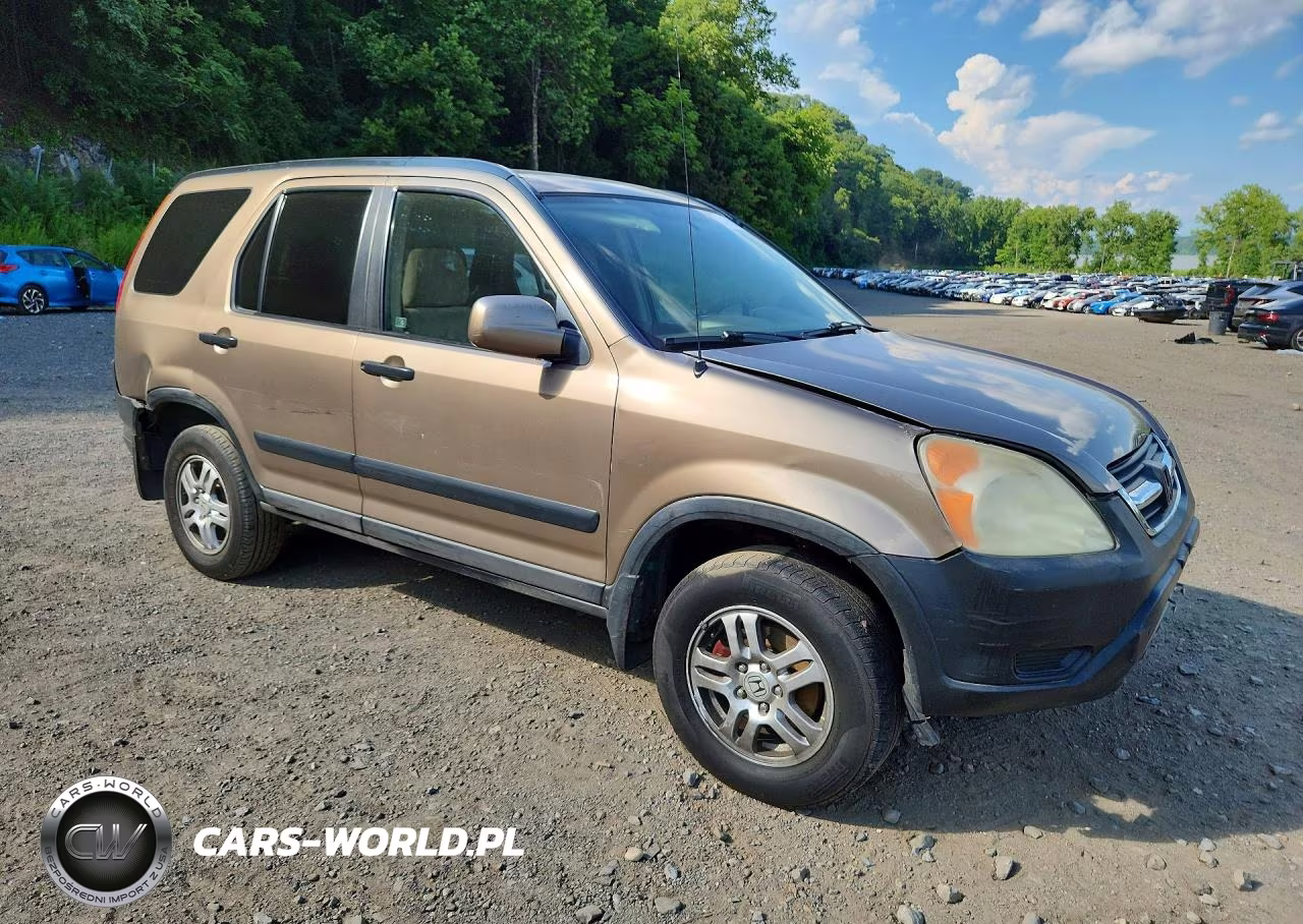 2004 Honda Cr-V Ex VIN:SHSRD78884U236135 - 4