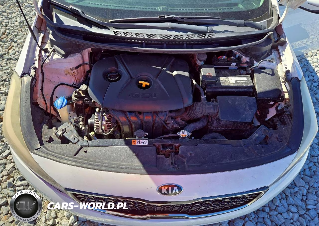 2017 Kia Forte Lx VIN:KNAFK5A85H5702820 - 11