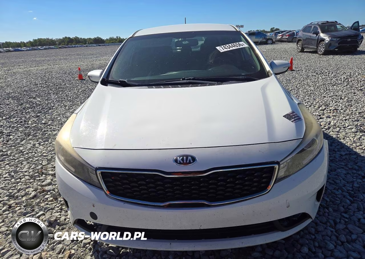 2017 Kia Forte Lx VIN:KNAFK5A85H5702820 - 5