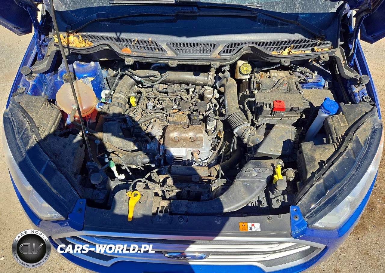2021 Ford Ecosport Se VIN:MAJ3S2GE0MC437396 - 12
