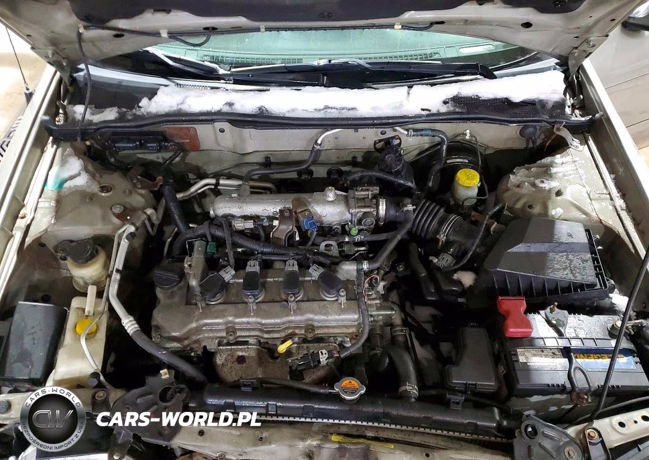 2004 Nissan Sentra 1.8 VIN:3N1CB51D34L910694 - 11