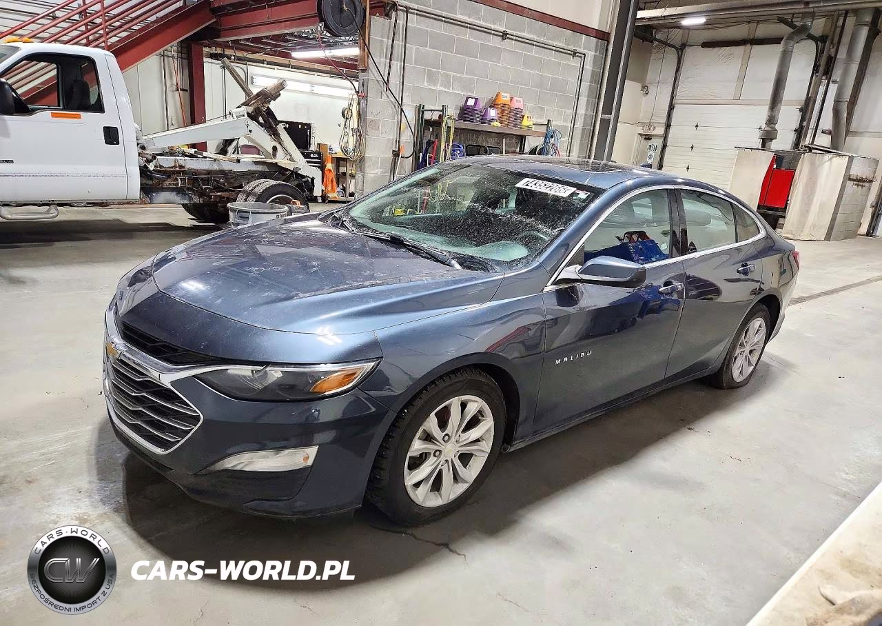 2019 Chevrolet Malibu Lt VIN:1G1ZD5STXKF219217 - 1