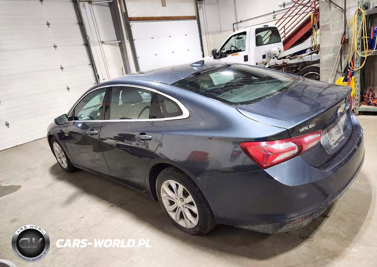 2019 Chevrolet Malibu Lt VIN:1G1ZD5STXKF219217 - 2