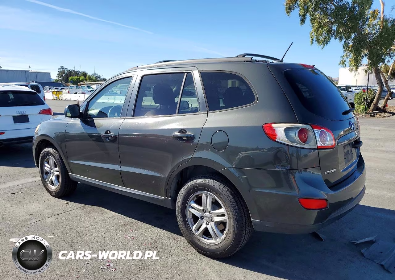 2010 Hyundai Santa Fe Gls VIN:5NMSGDAB3AH344774 - 2