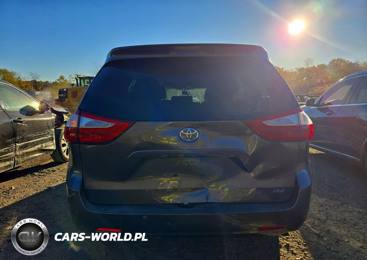 2017 Toyota Sienna Xle Premium 8-Passenger VIN:5TDYZ3DC7HS767223 - 6