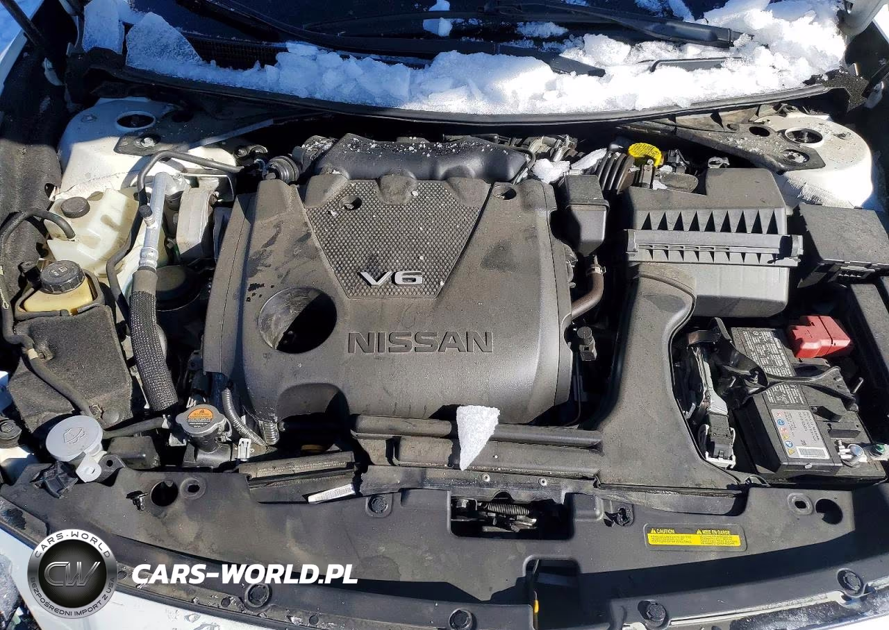 2023 Nissan Maxima Sr VIN:1N4AA6EV9PC507650 - 11