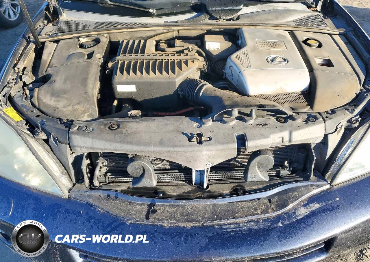 2006 Lexus Rx 400 VIN:JTJHW31U160031915 - 12