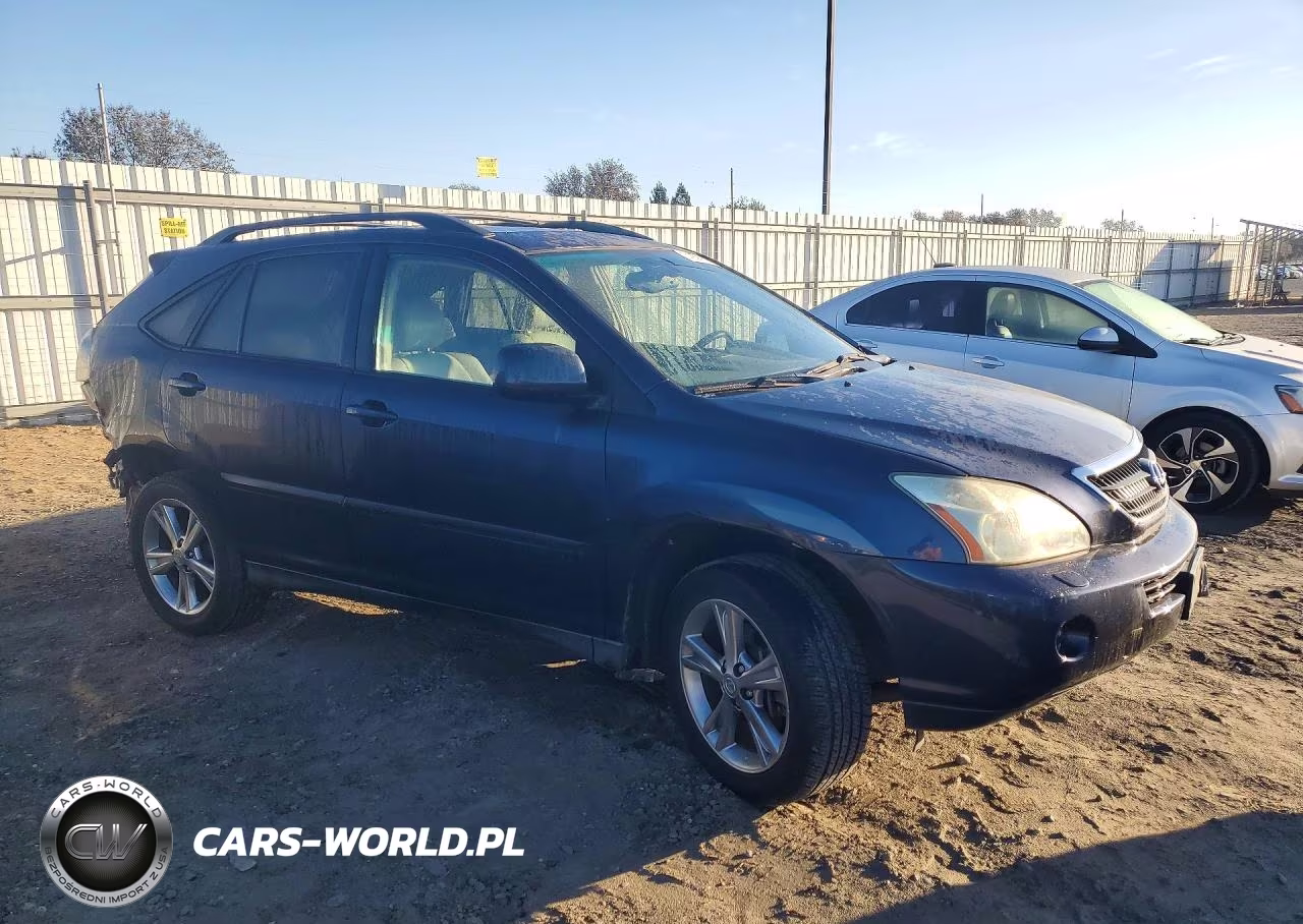 2006 Lexus Rx 400 VIN:JTJHW31U160031915 - 4