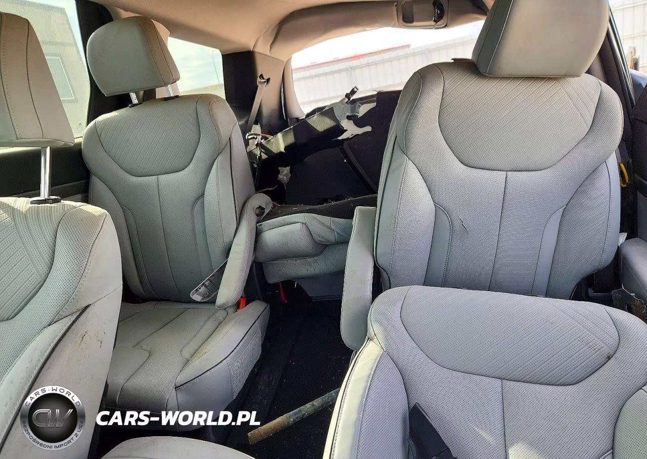 2025 Hyundai Palisade Sel VIN:KM8R2DGE0SU955379 - 10