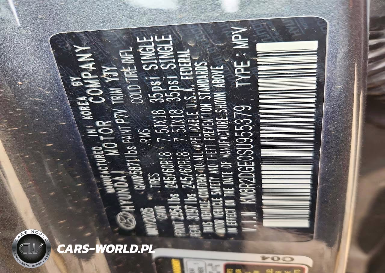 2025 Hyundai Palisade Sel VIN:KM8R2DGE0SU955379 - 13