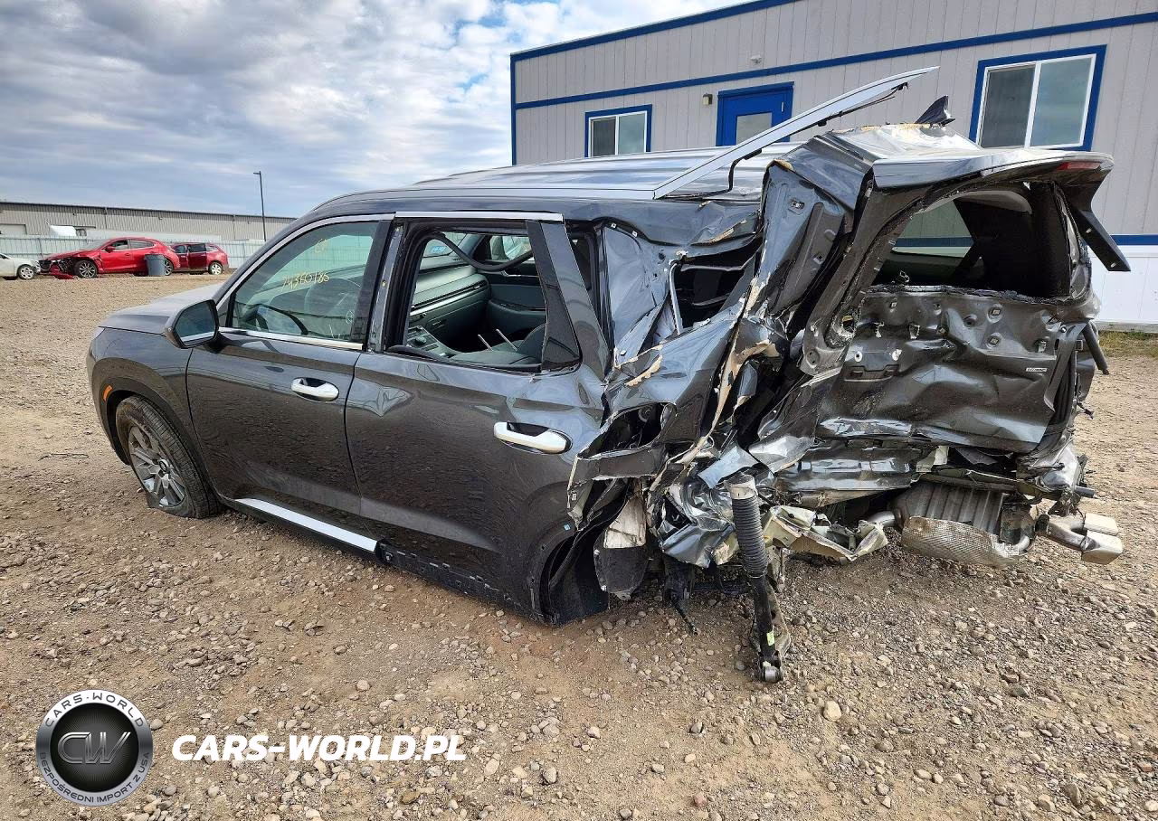 2025 Hyundai Palisade Sel VIN:KM8R2DGE0SU955379 - 2