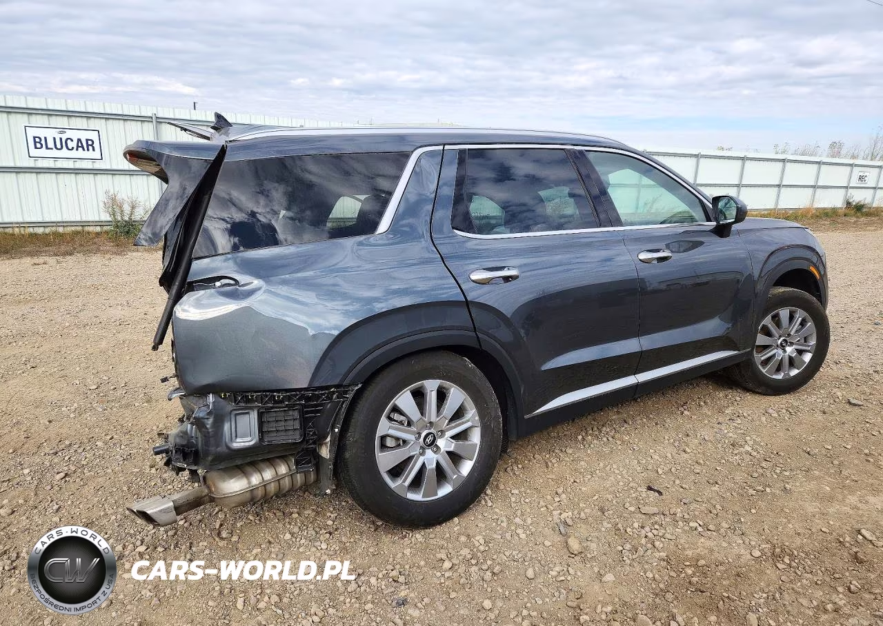 2025 Hyundai Palisade Sel VIN:KM8R2DGE0SU955379 - 3