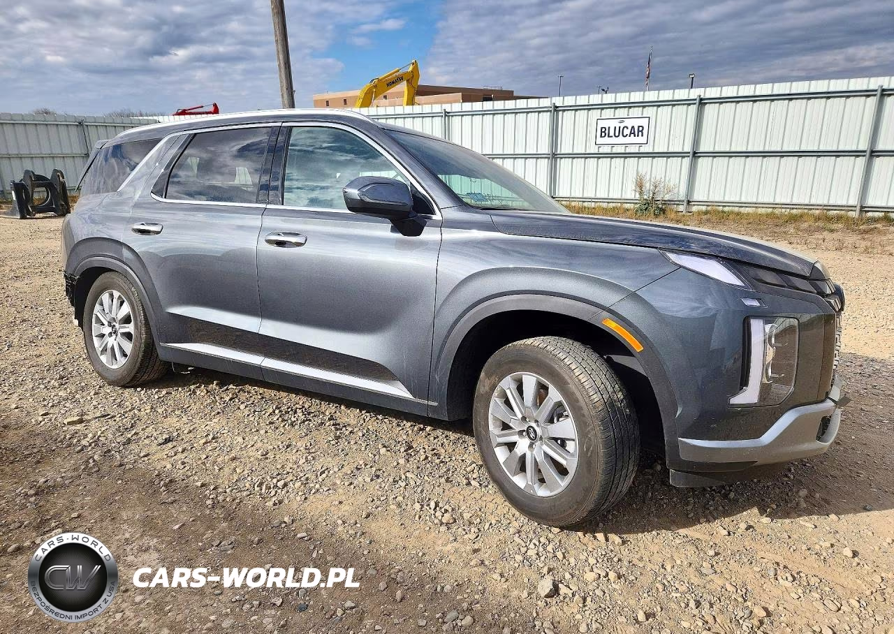 2025 Hyundai Palisade Sel VIN:KM8R2DGE0SU955379 - 4