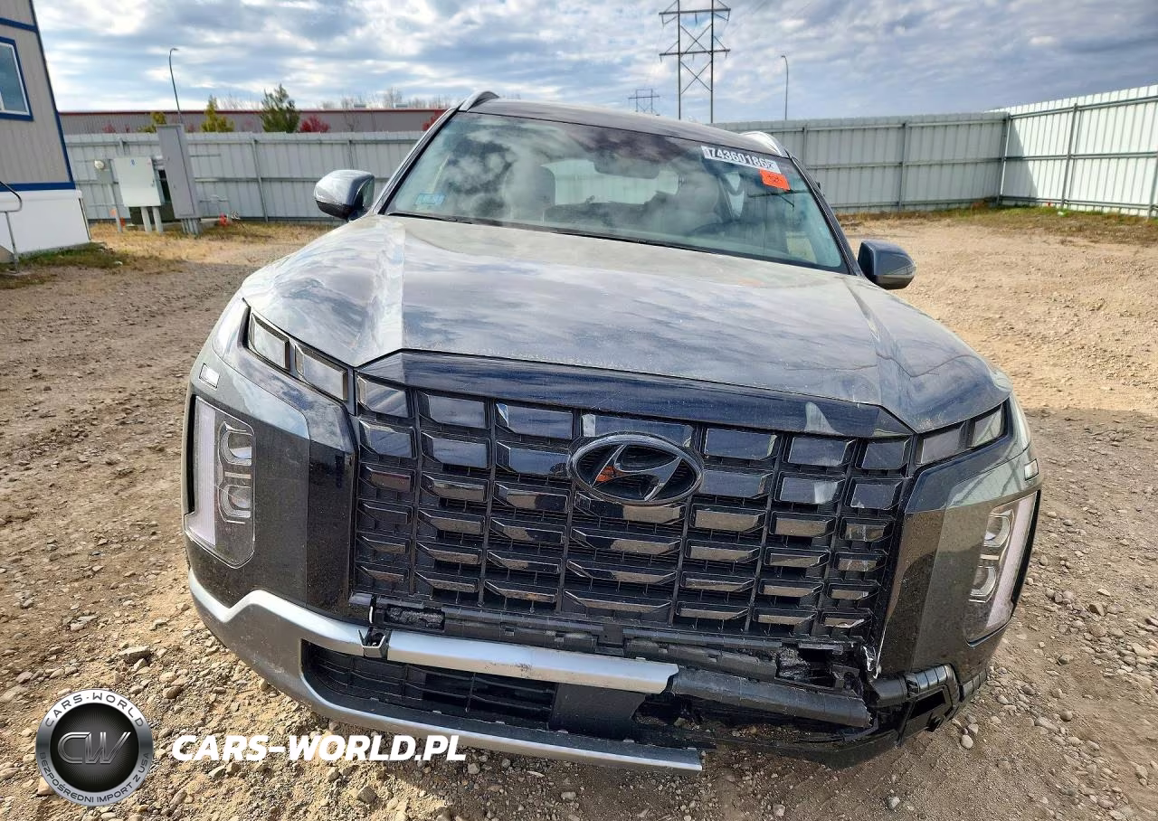 2025 Hyundai Palisade Sel VIN:KM8R2DGE0SU955379 - 5