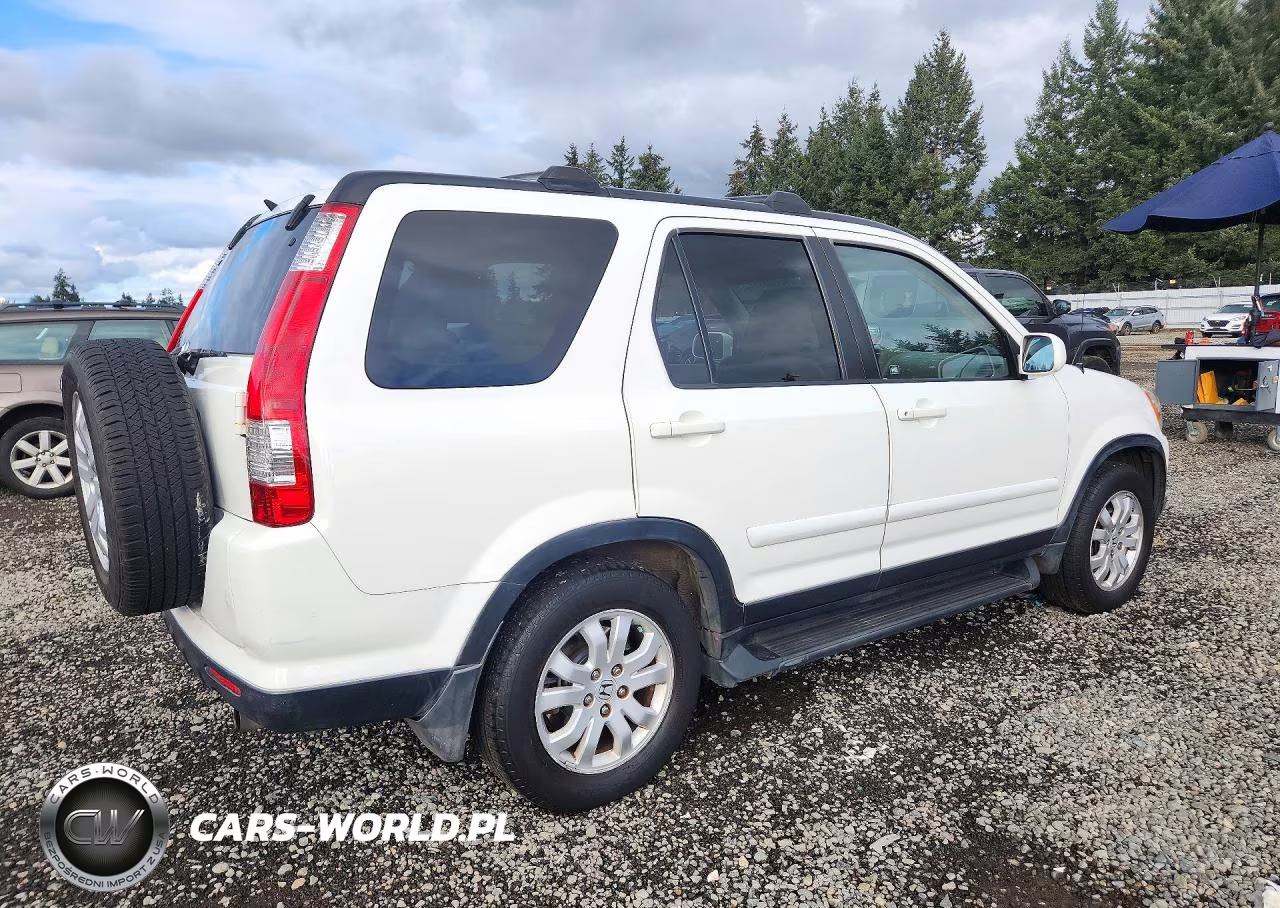 2005 Honda Cr-V Se VIN:JHLRD78915C016806 - 3