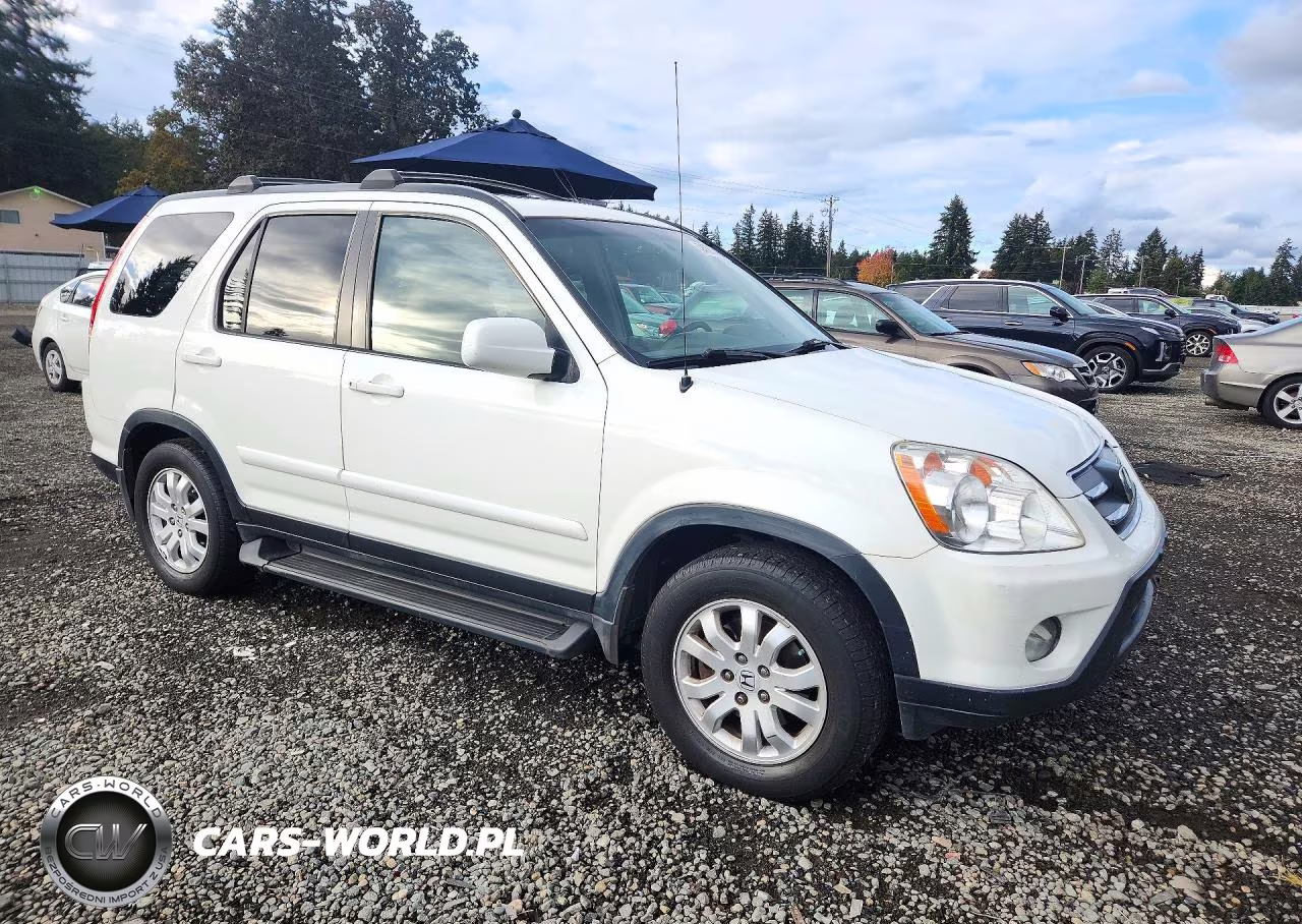 2005 Honda Cr-V Se VIN:JHLRD78915C016806 - 4