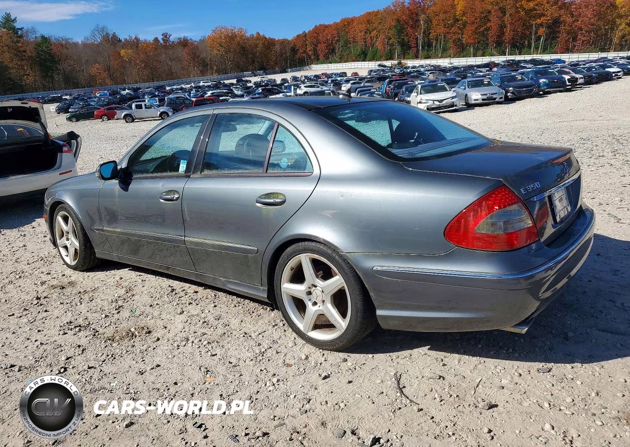 2009 Mercedes-Benz E 350 4Matic VIN:WDBUF87X69B392824 - 2