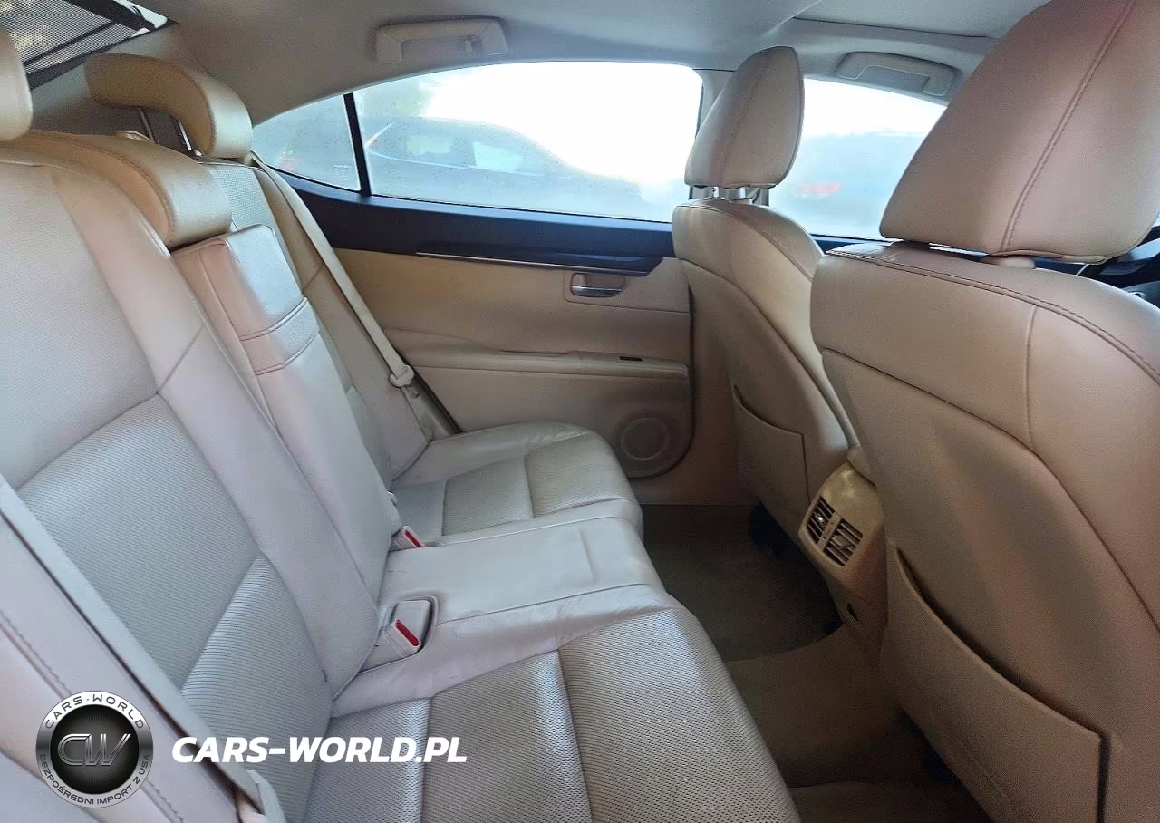 2013 Lexus Es 300H VIN:JTHBK1GG1D2083166 - 10