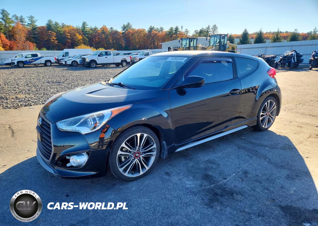 2017 Hyundai Veloster Turbo R-Spec VIN:KMHTC6AEXHU315406 - 1