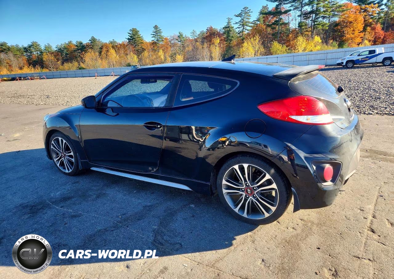 2017 Hyundai Veloster Turbo R-Spec VIN:KMHTC6AEXHU315406 - 2