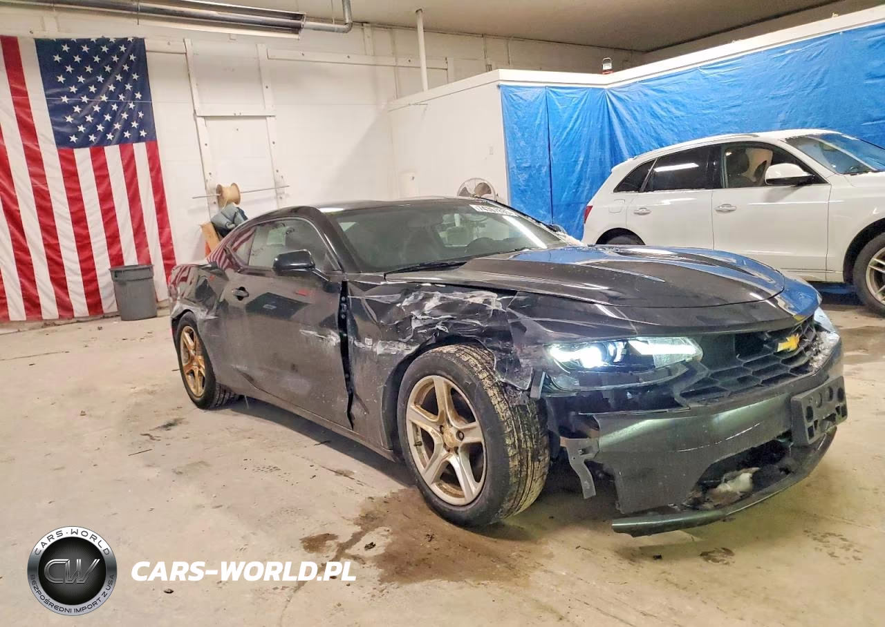 2019 Chevrolet Camaro Ls VIN:1G1FB1RS9K0106313 - 4