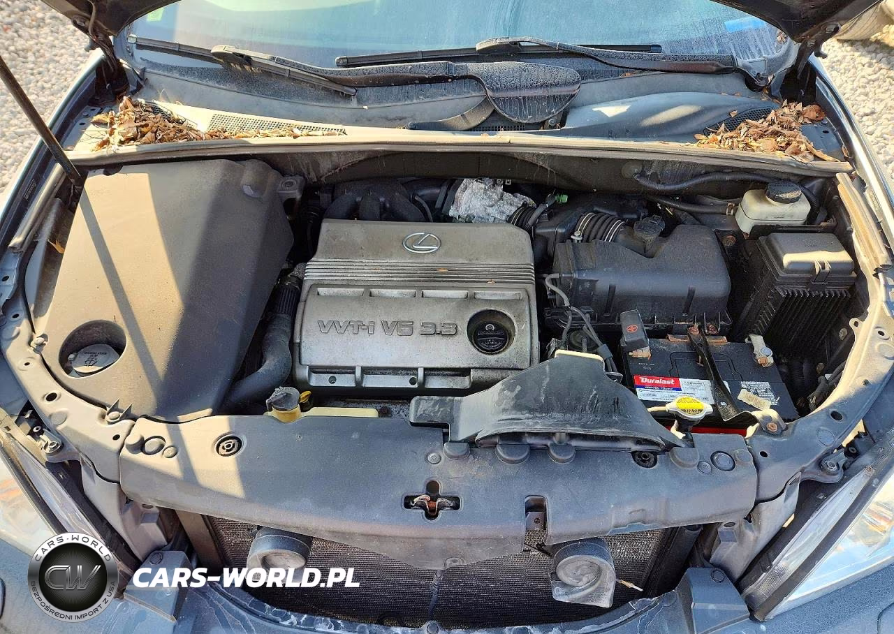 2004 Lexus Rx 330 VIN:2T2HA31U24C001452 - 11