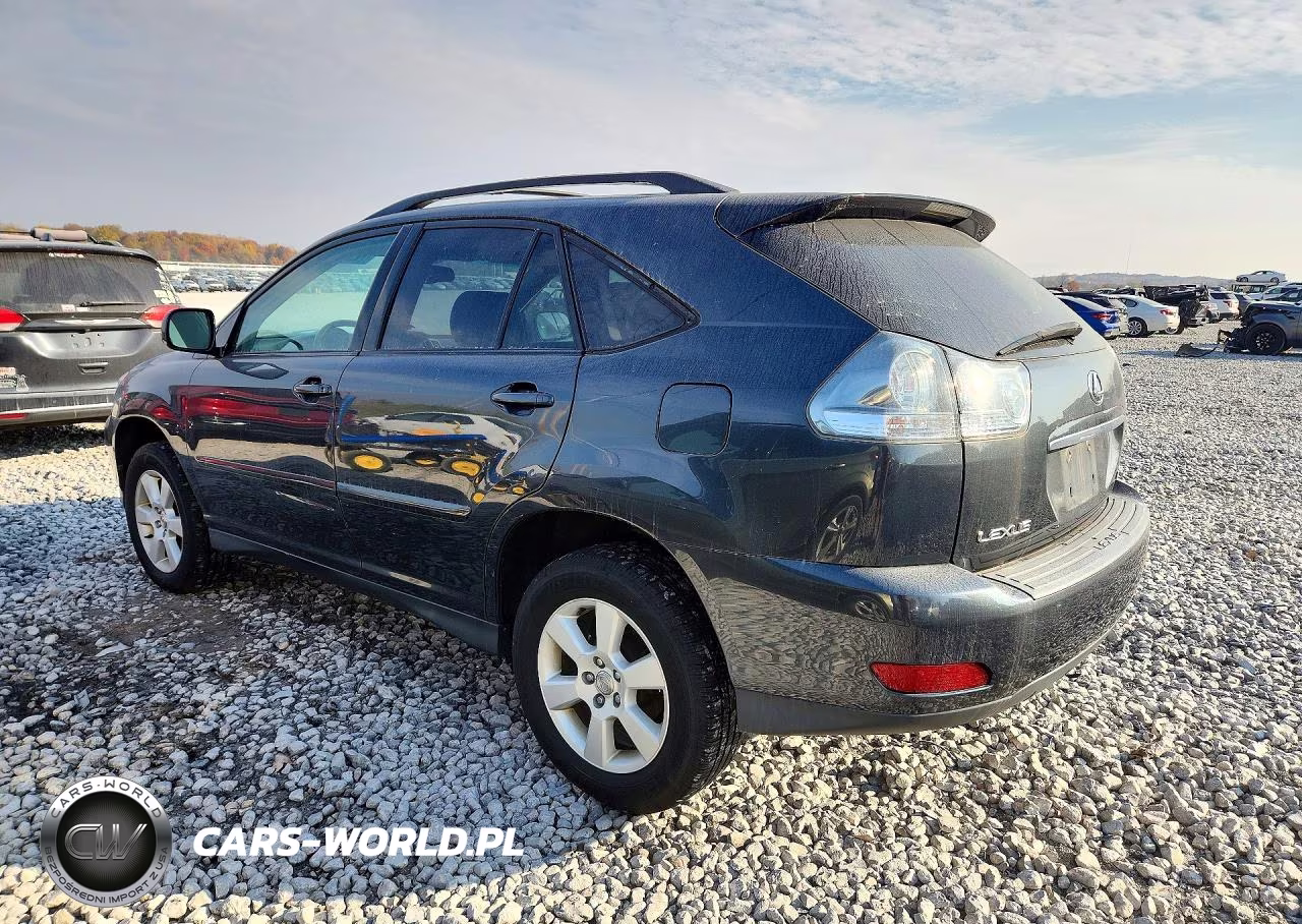 2004 Lexus Rx 330 VIN:2T2HA31U24C001452 - 2