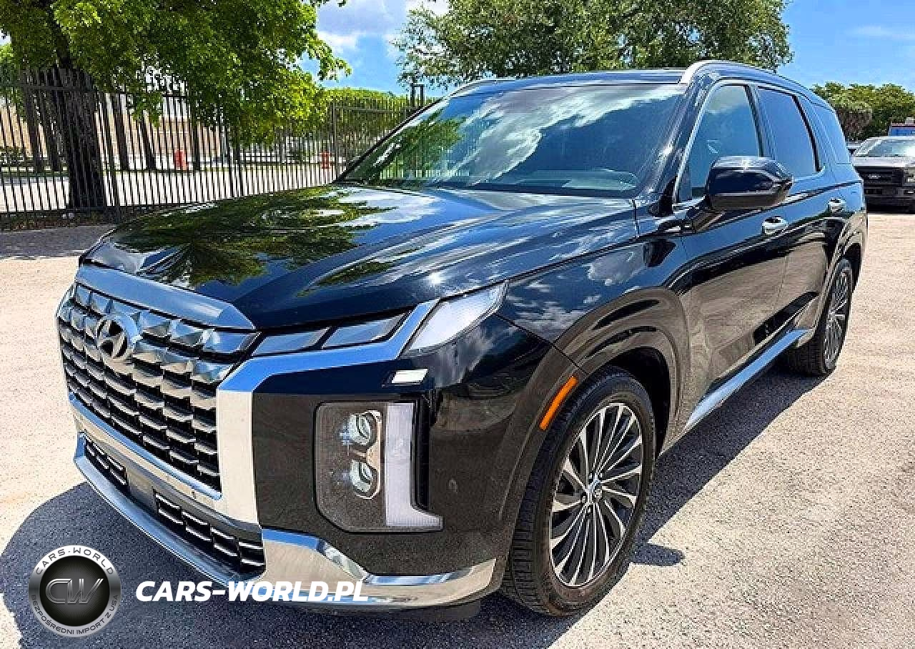 2023 Hyundai Palisade Calligraphy VIN:KM8R7DGE9PU505495 - 1